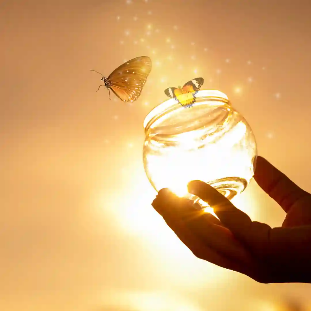 Consciencia Transforma